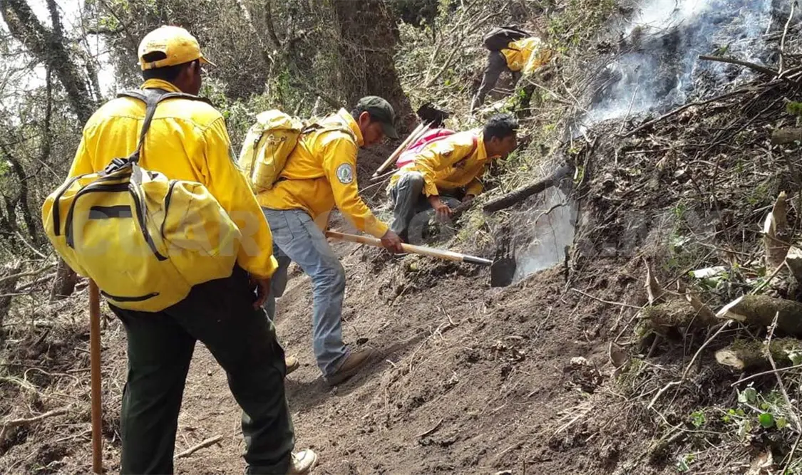 Investigan incendio en la Reserva del Tacaná