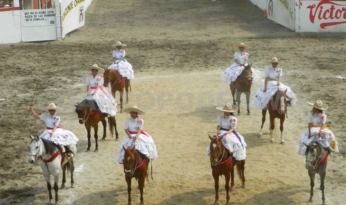 Flor Imperial, monarca del Circuito Calificado