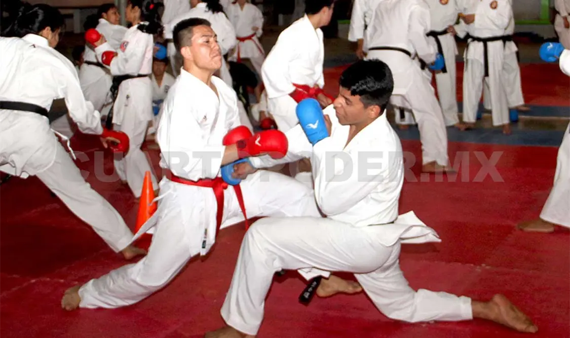 Selección de Karate, con ocho clasificados