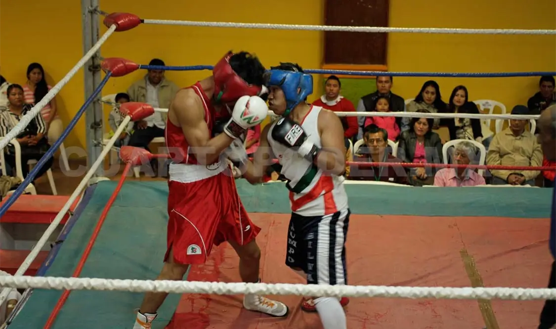 Box y Lucha en SCLC