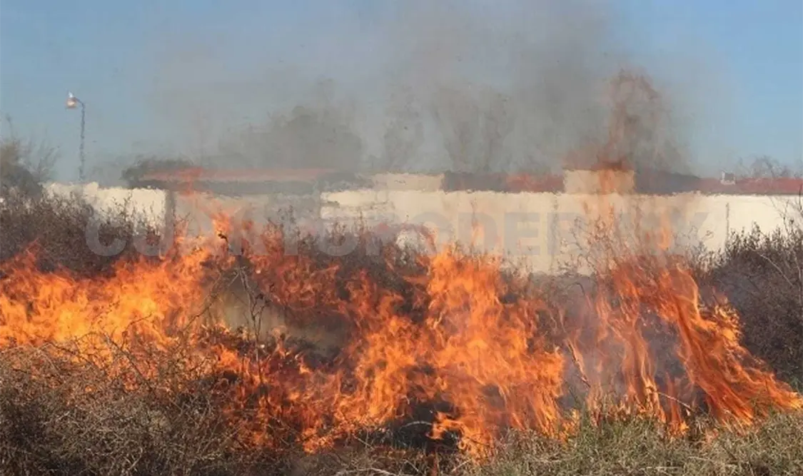 Registran 200 incendios forestales en la capital