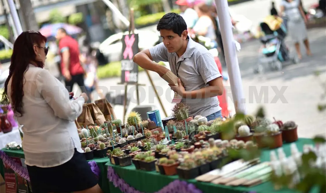Invitan a los chiapanecos al Tercer Festival de la Primavera