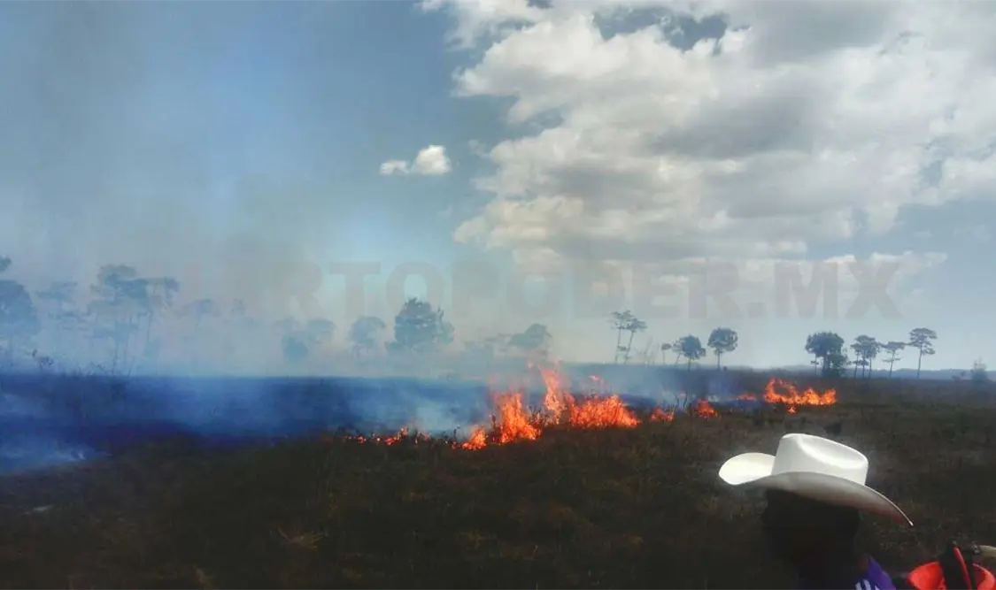 Incendio devasta más de 100 hectáreas