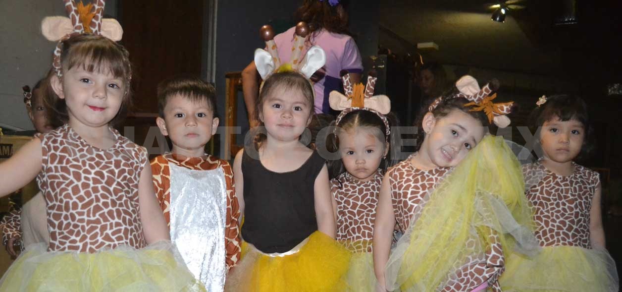 Festival de la primavera
