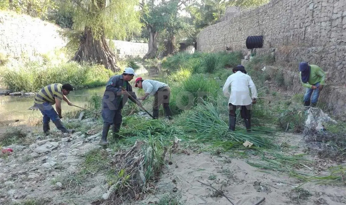 Inicia retiro de maleza y basura en el Sabinal