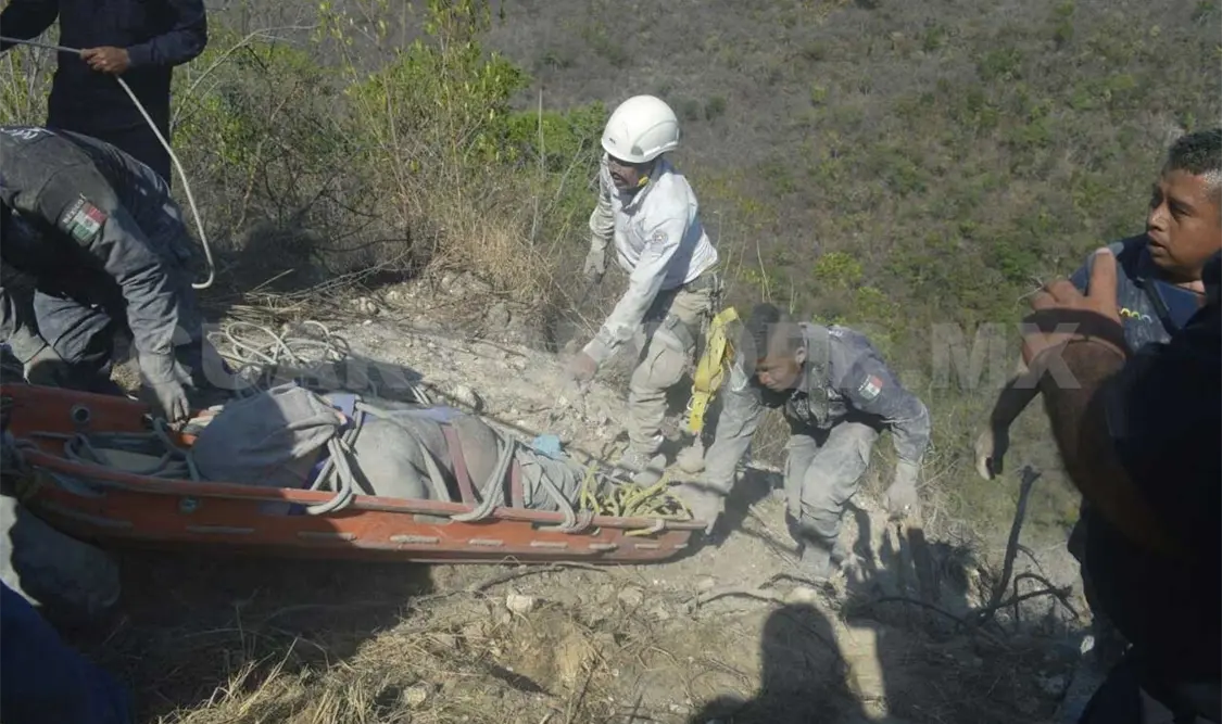 Sobrevive conductor de tráiler a accidente