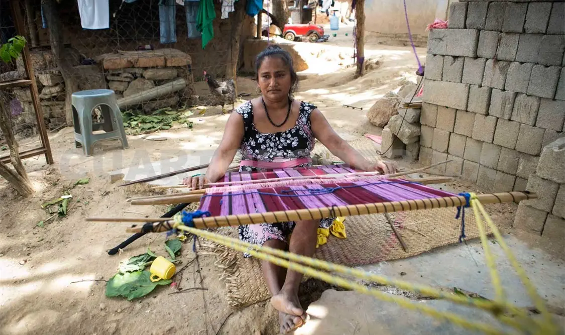 Caracol púrpura de la Costa oaxaqueña, bajo riesgo
