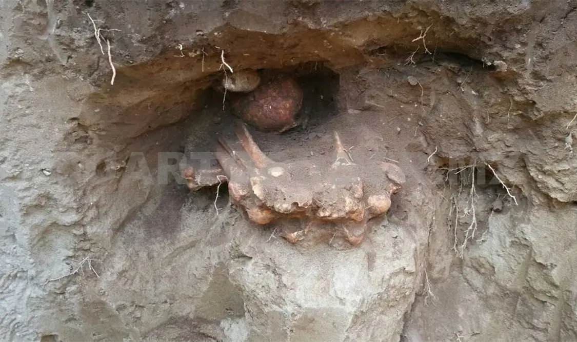 Deformación craneal, distinción de osamenta prehispánica