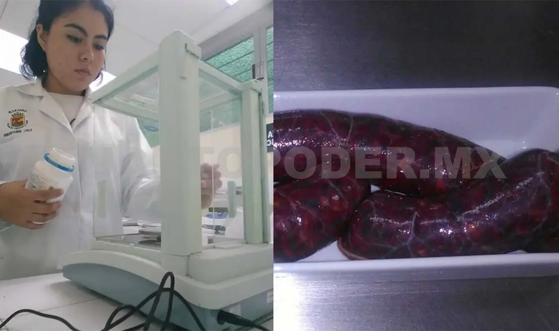 Chorihongo, una opción de alimento saludable