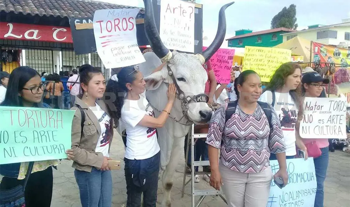 Protestas en contra de las Corridas de Toros