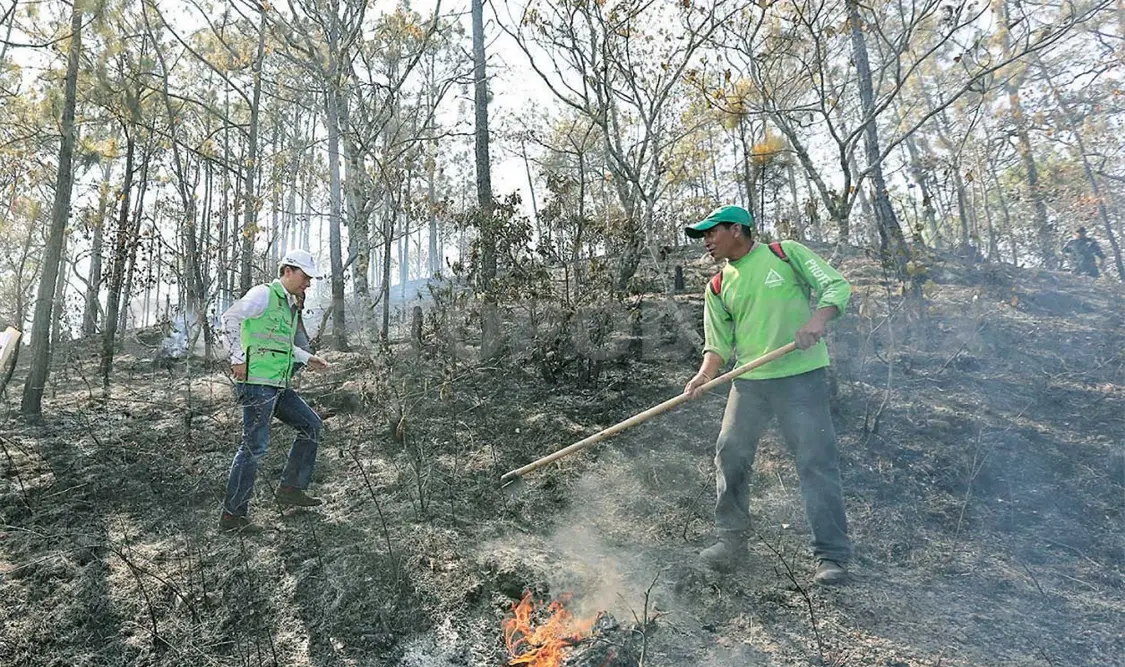 En Chiapas se reducen incendios con prevención