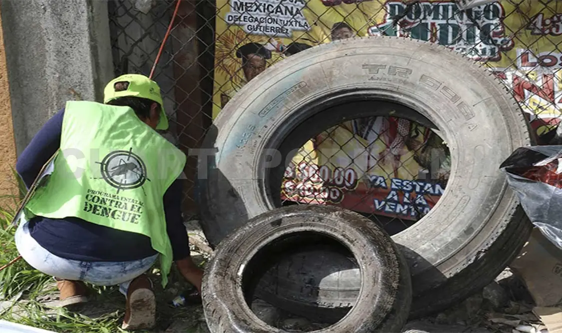 Realizan acciones para evitar dengue y chikungunya