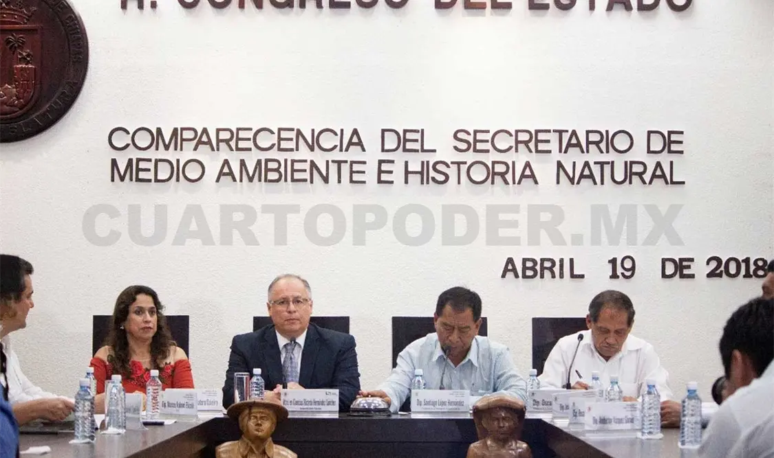La entidad perdió 40% de superficie forestal