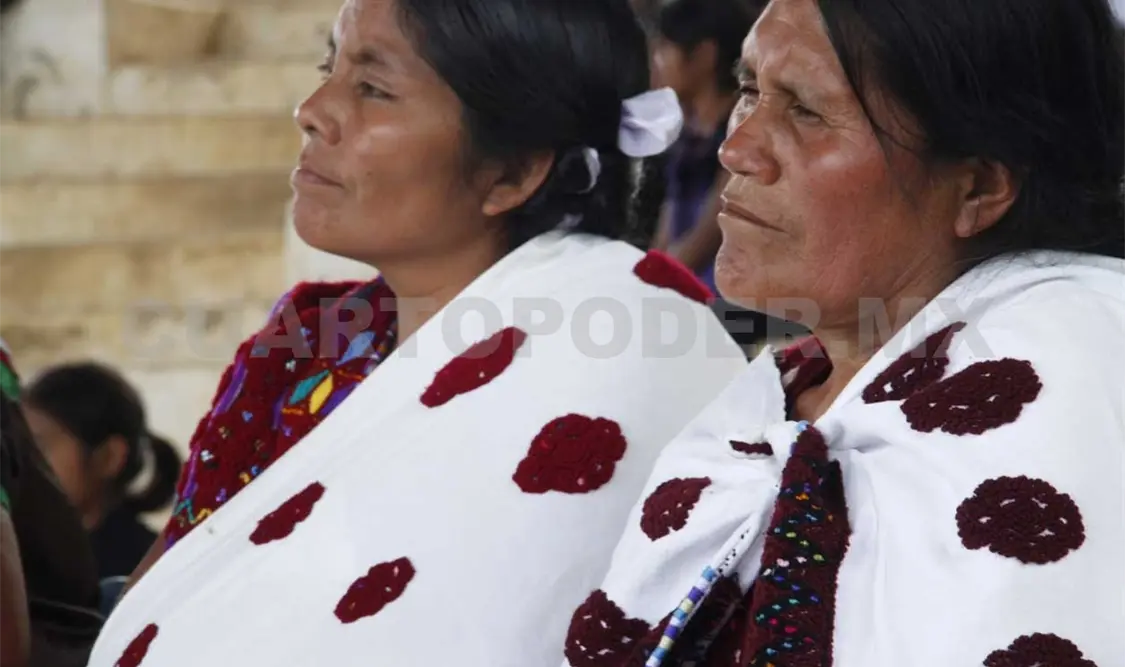 Aclaran que organización Las Abejas no fue atacada