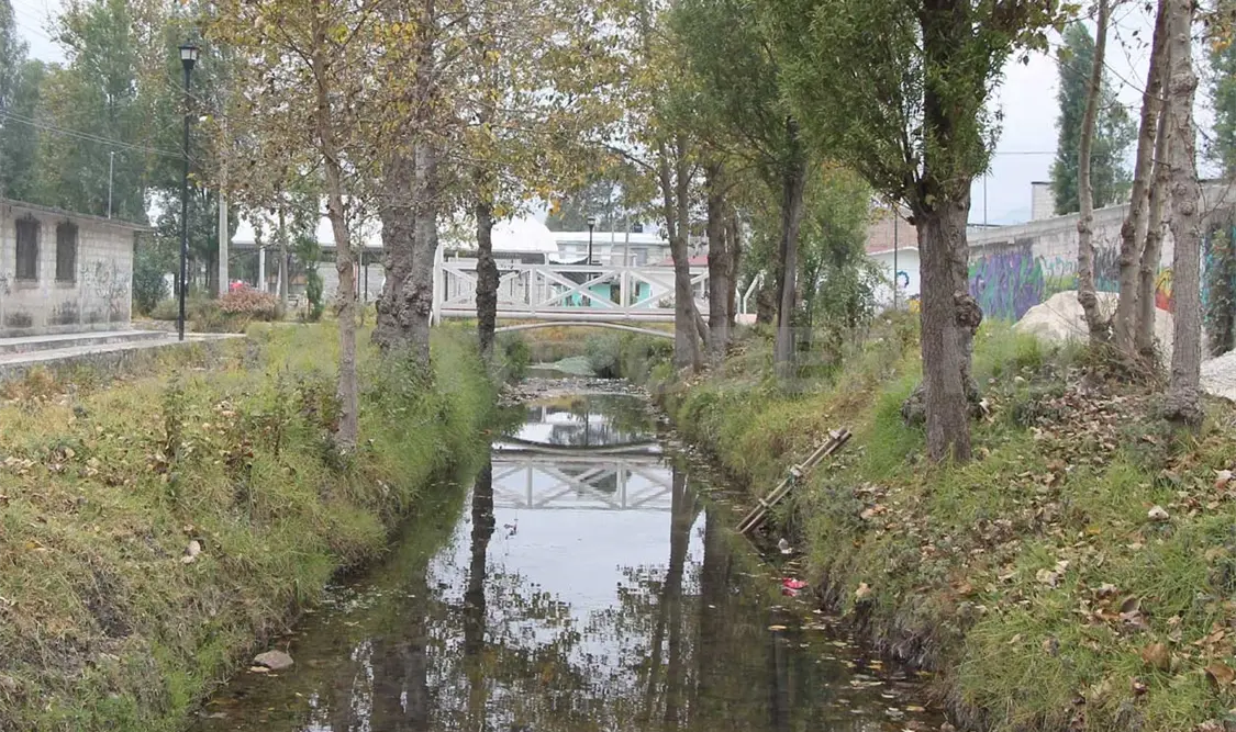 Promueven empleos dignos y de calidad