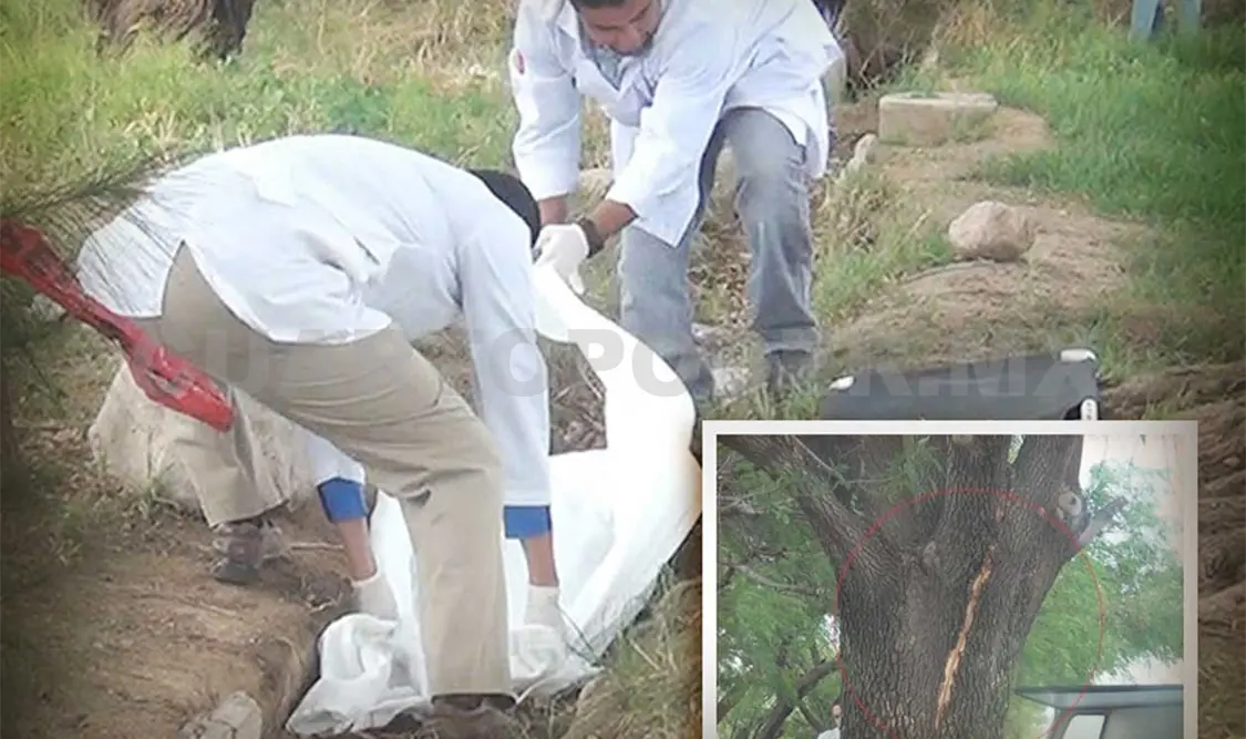 Rayo mata a niño y quema a su papá y hermano