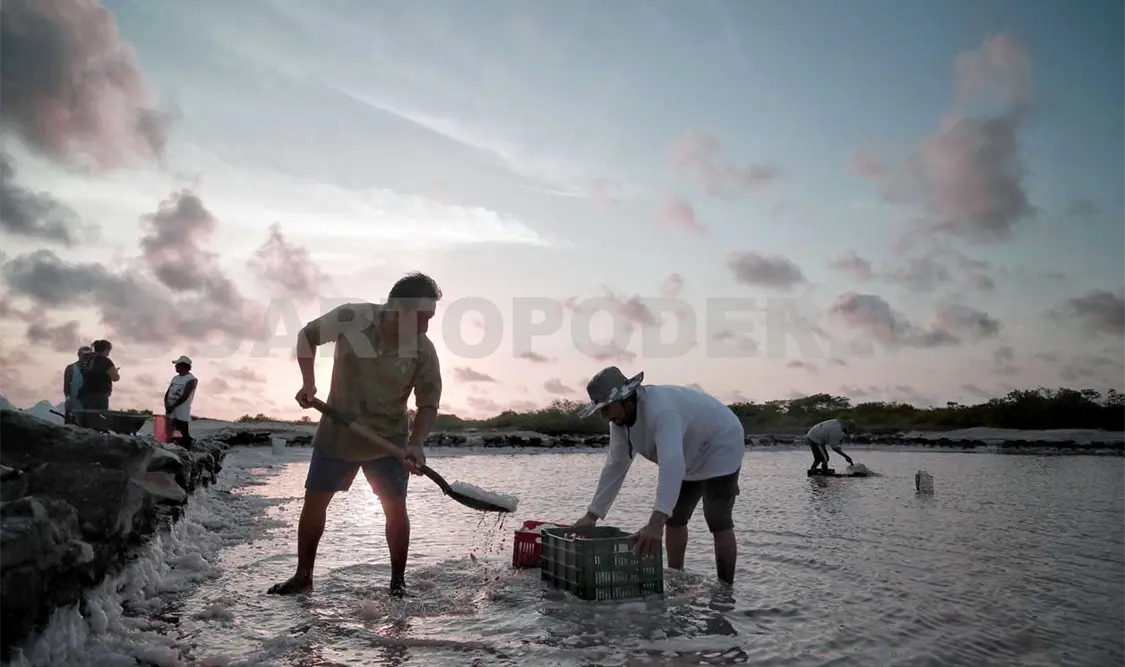 Pescadores dejan las redes para sacar sal