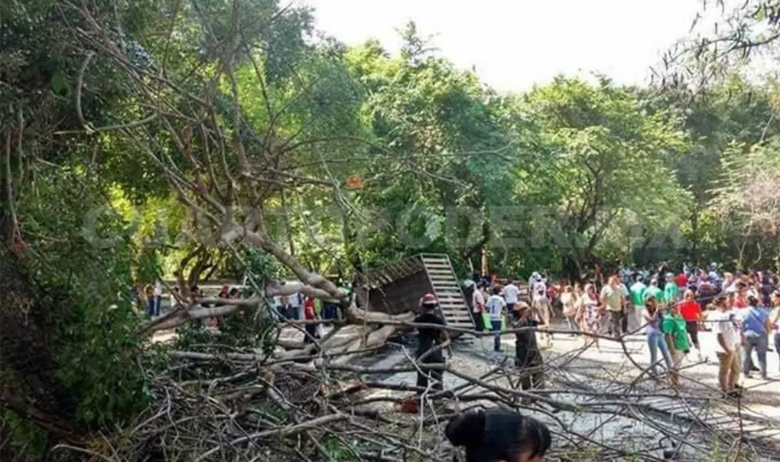Cierran parque ecológico tras desplome de puente