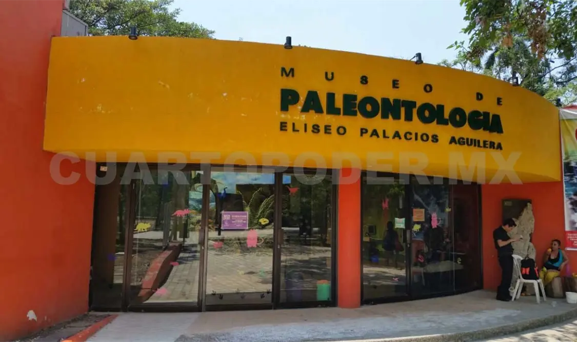 La historia a través de 300 millones de años en fósiles