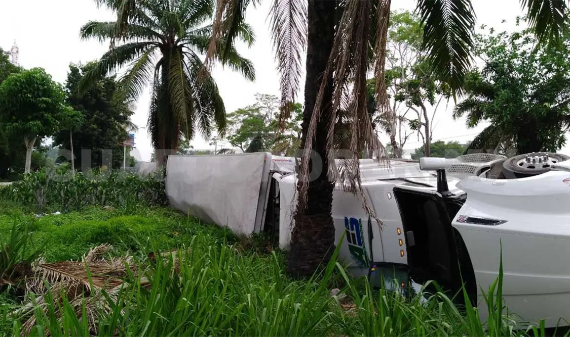 Coloso cargado con plátano quedó volcado