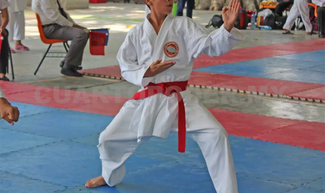 El principal objetivo es adelantar acciones de cara a la próxima participación de este deporte en la Olimpiada Nacional 2019. Octavio Coello/CP