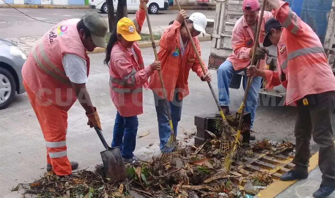 Ante temporada de lluvias inicia la fumigación