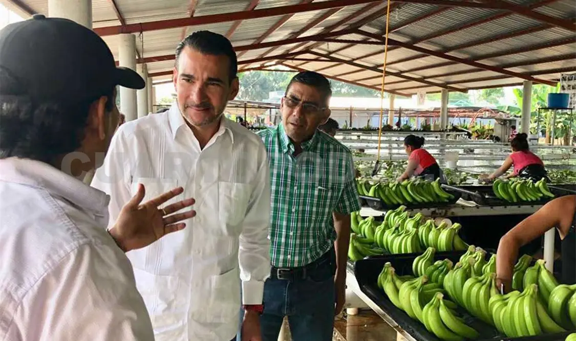 Urge apoyar sectores que generan empleo