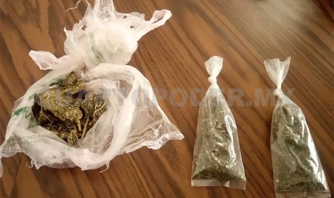 Aseguran drogas en el Soconusco