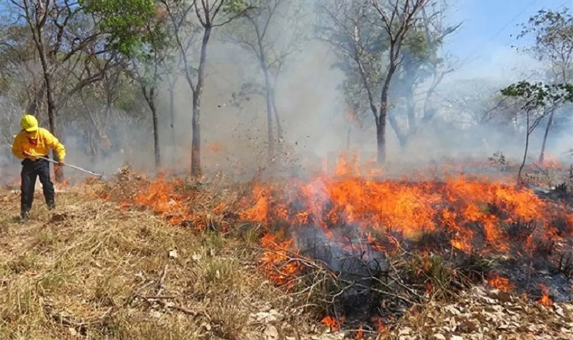 Chiapas se ubica en sexto lugar en incendios forestales