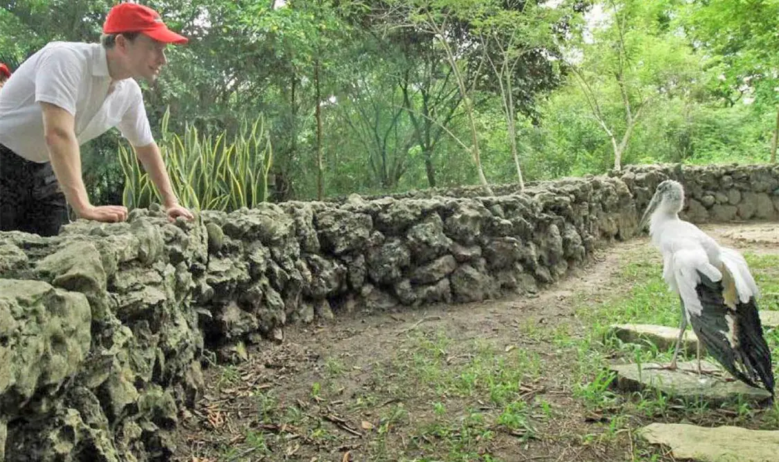 Fortalecen acciones para la conservación de la fauna chiapaneca