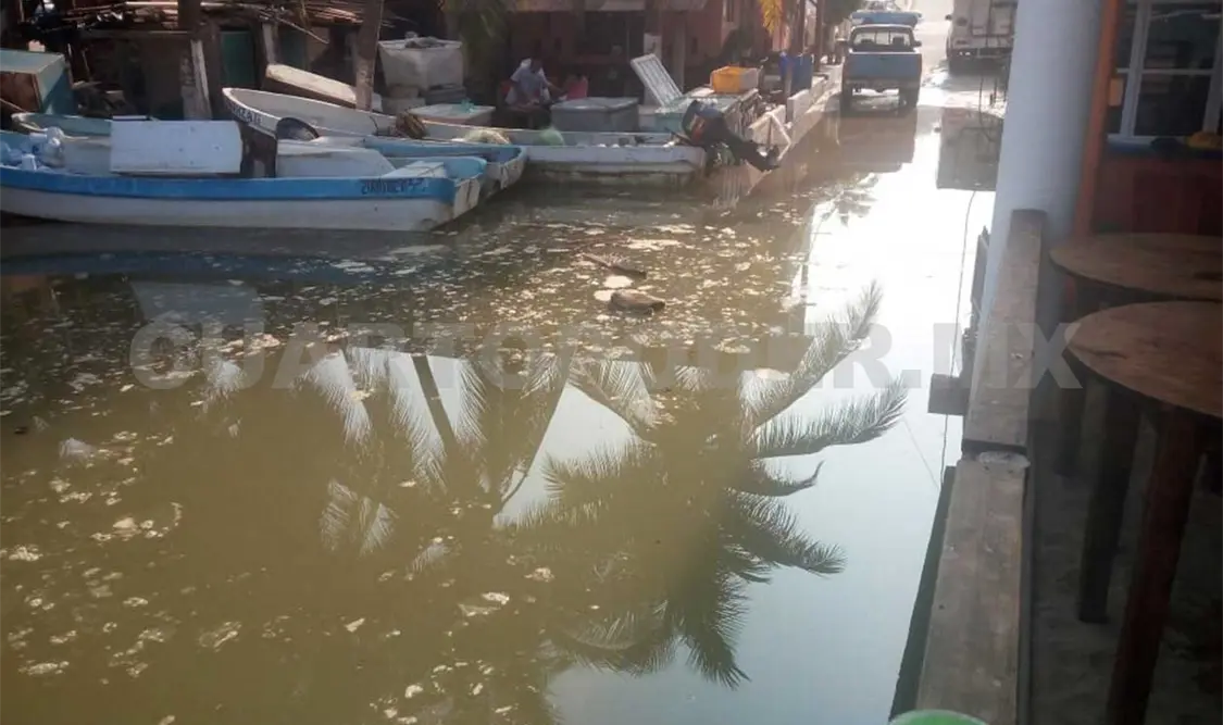 Mar de fondo causa afectaciones en varios poblados