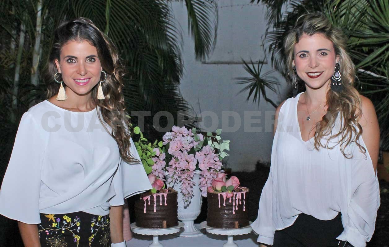 Fiesta de gemelas