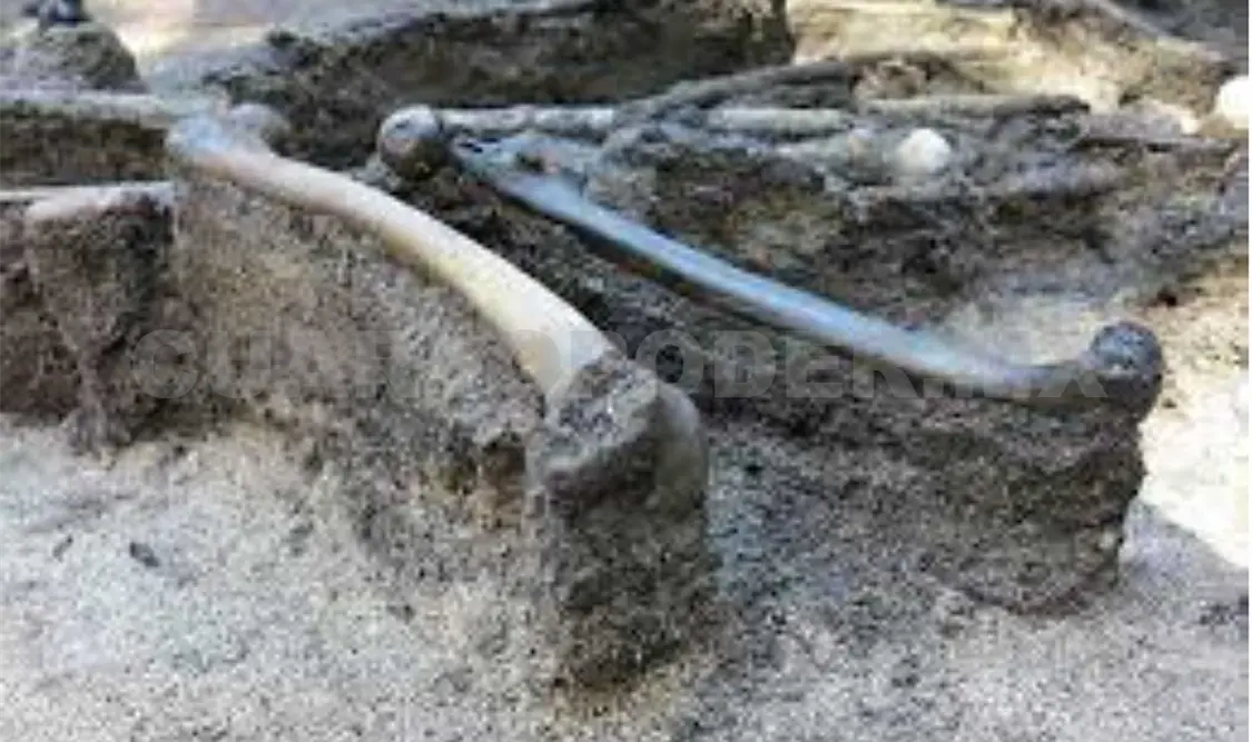 Los restos fueron encontrados en el valle del río Illerup, en Dinamarca. Cortesía