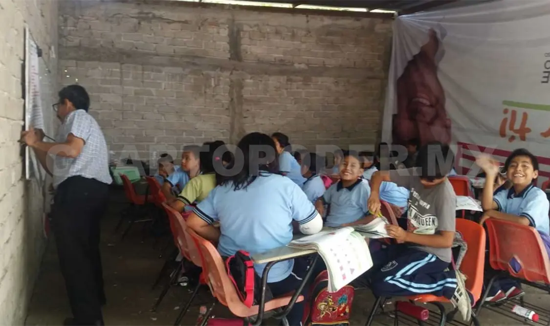 Plaga de pulgas ahuyenta a maestros y alumnos