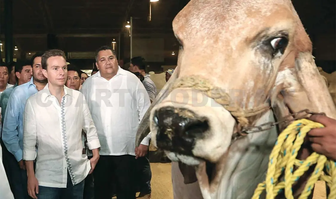 Al garantizar una mayor seguridad se eleva la productividad en el sector ganadero, sostuvo el gobernador del estado. CP