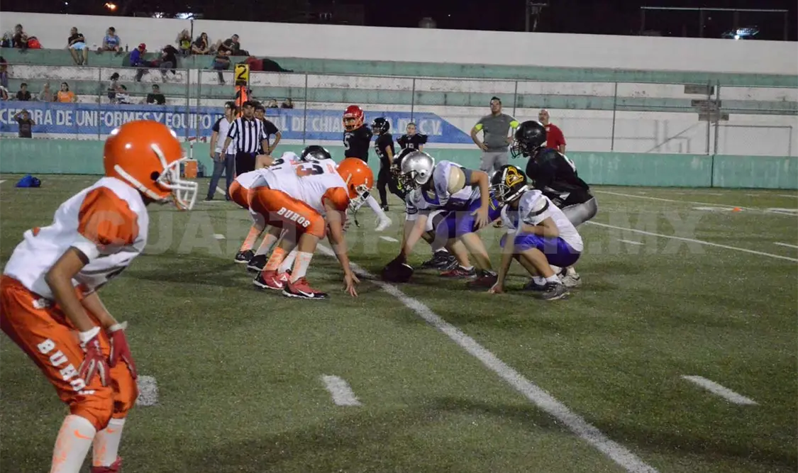 Osos y Raptors triunfan en bantam
