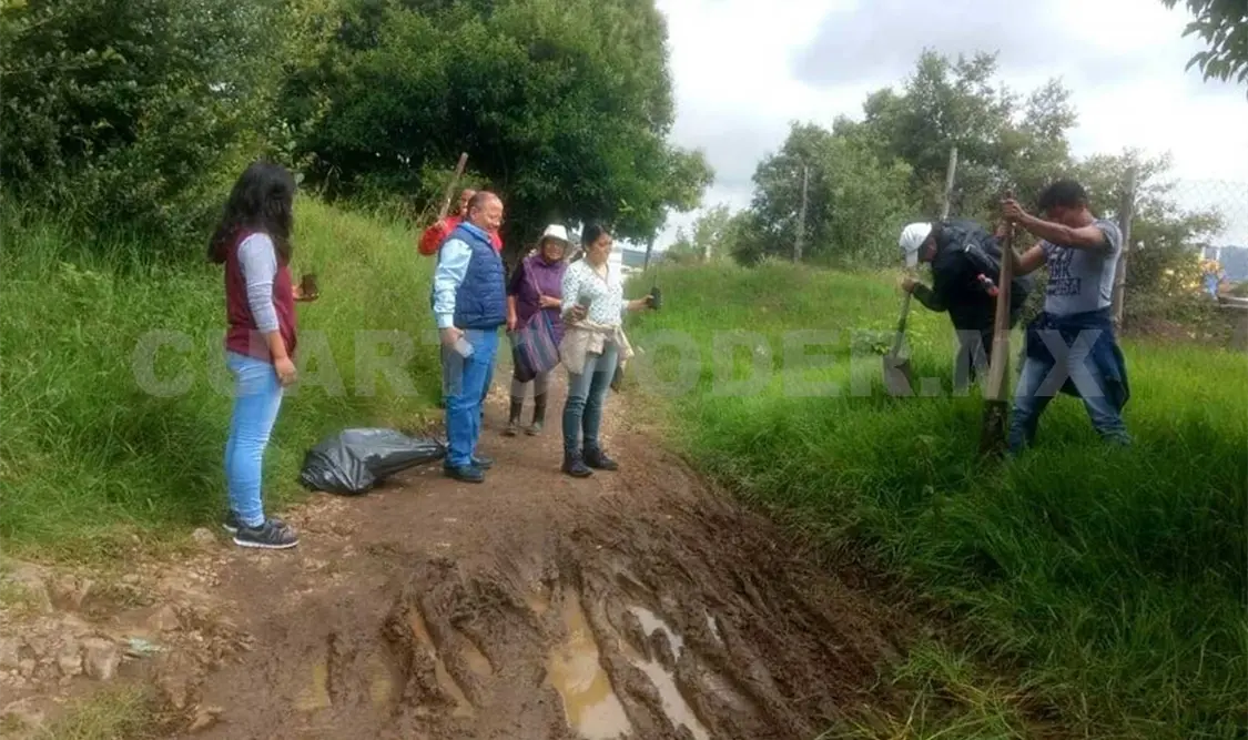 Instituciones realizan campaña de reforestación