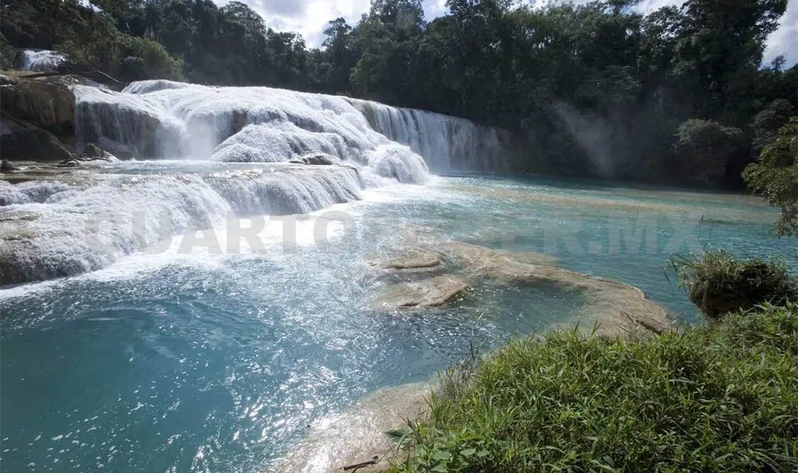 Chiapas aporta 30% del agua dulce al país