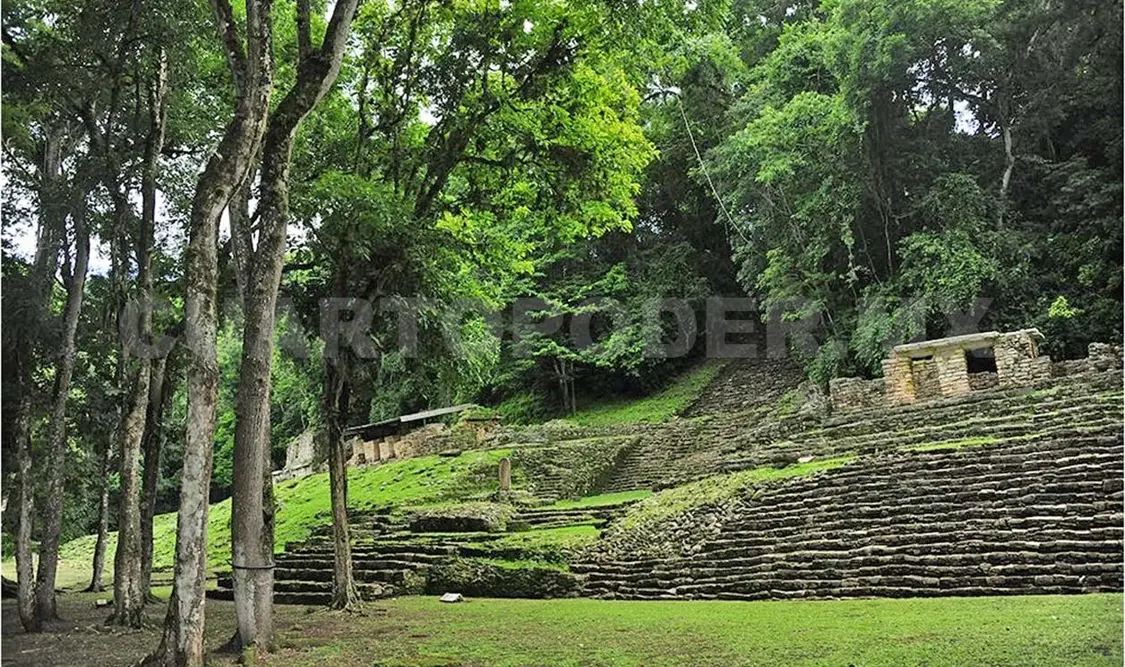 Retoman exploración en Yaxchilán