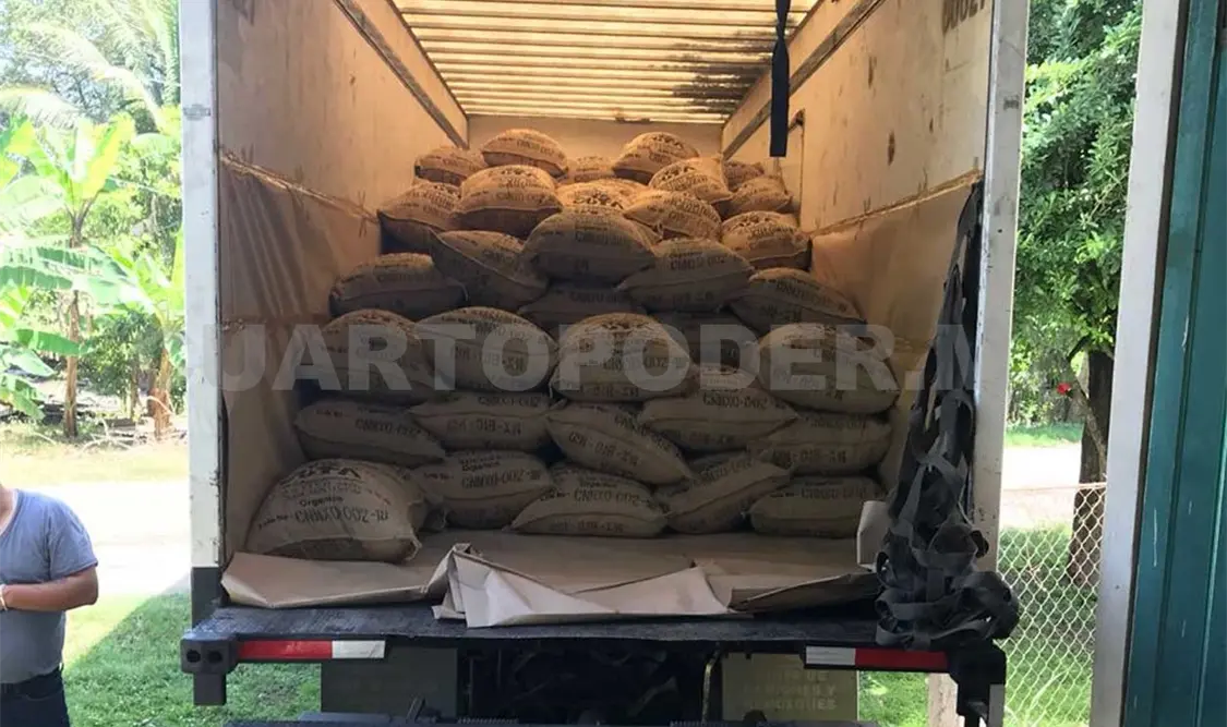 Envían 15 toneladas de cacao chiapaneco a Francia