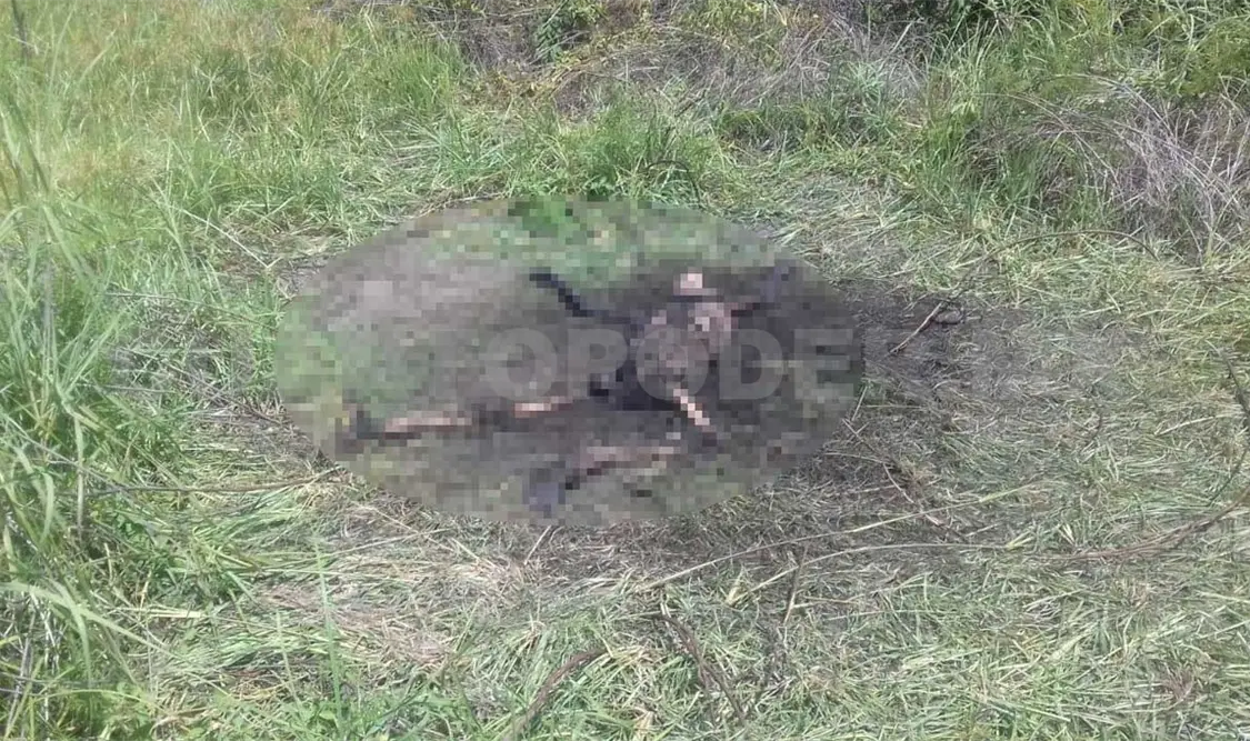 Localizan a hombre muerto en un predio
