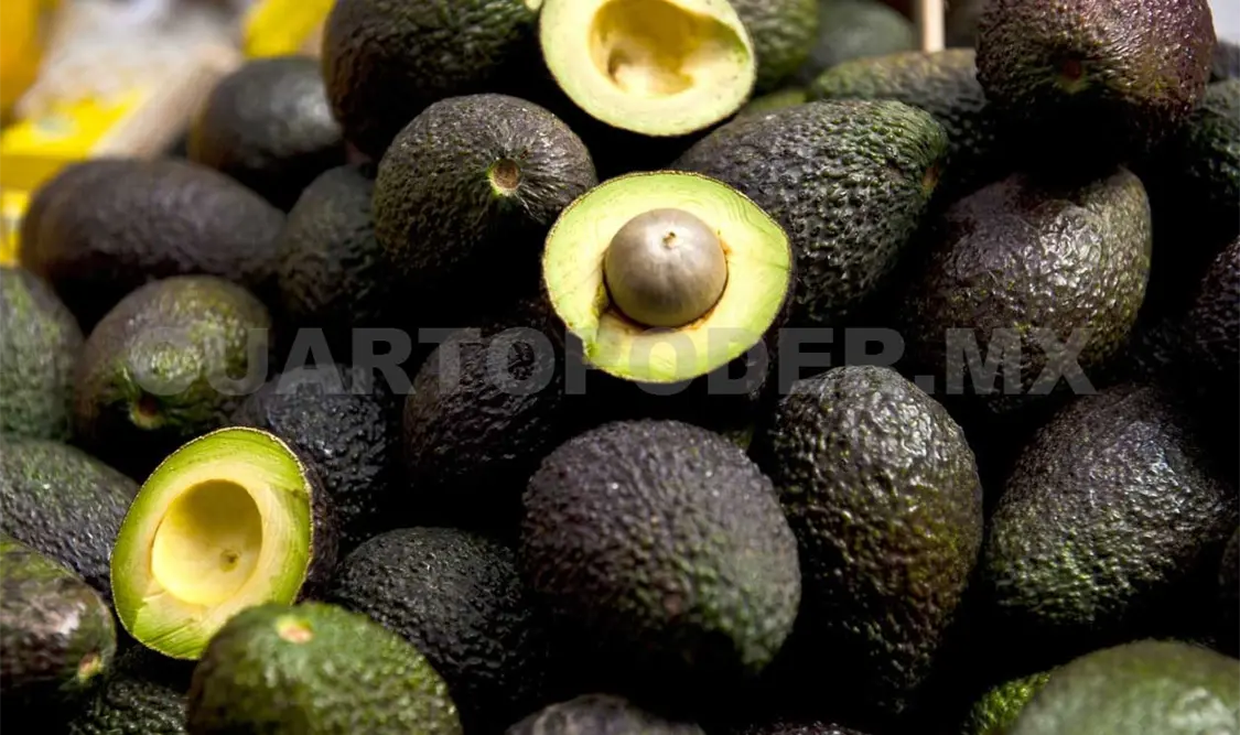 México, principal proveedor de aguacate