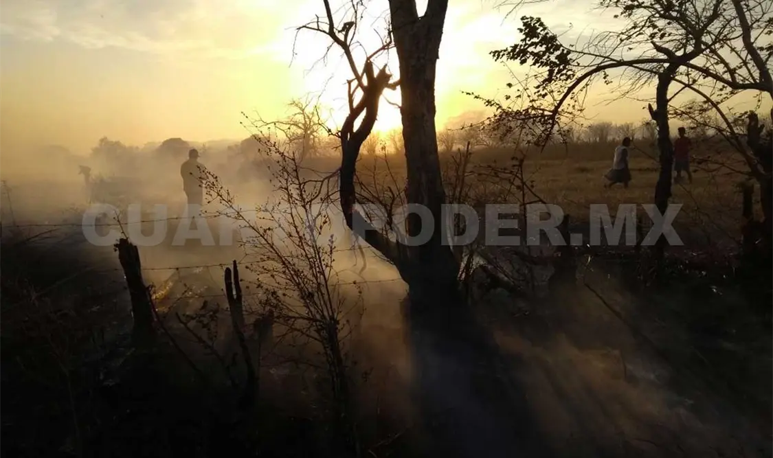 Diez mil hectáreas dañadas por incendios