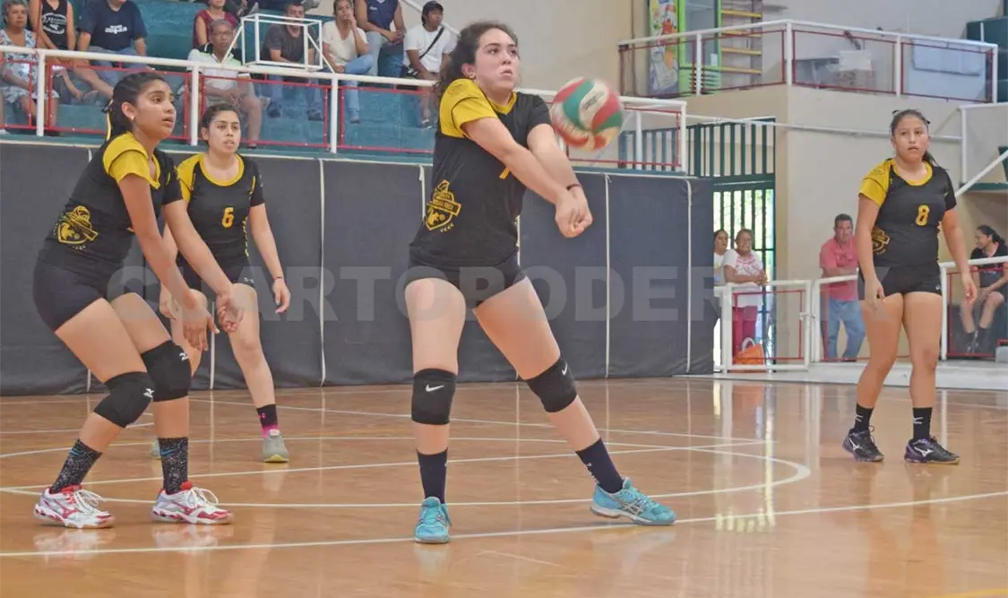 Ardillas participará en el Festival Infantil y Juvenil