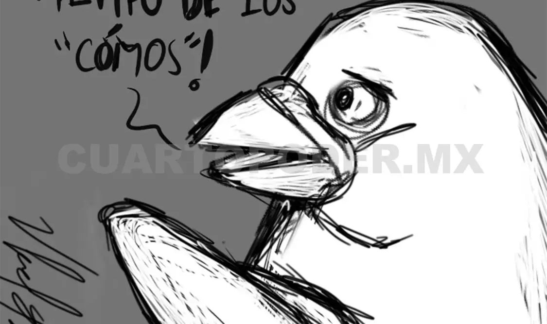 Ausencia de políticas claras en seguridad