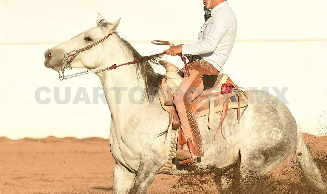 La Peregrina gana IV fase de la Copa