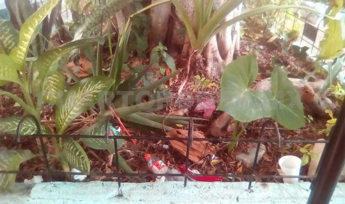Llaman ciudadanos a mantener limpios los parques
