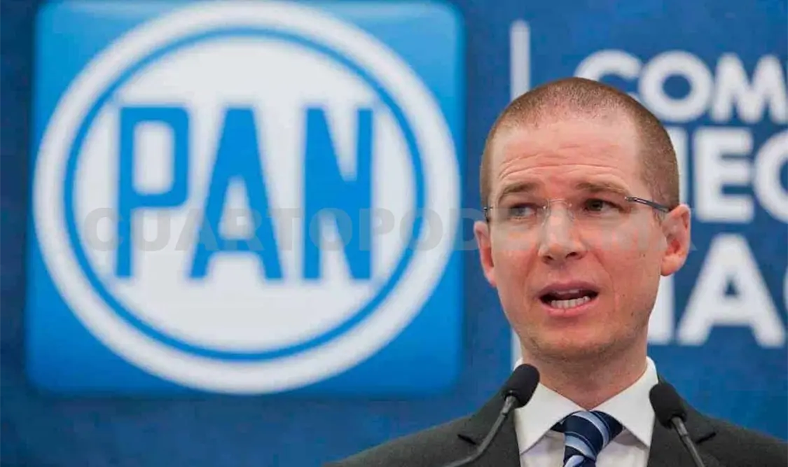 “La reflexión es que se vayan”, dicen panistas a Ricardo Anaya