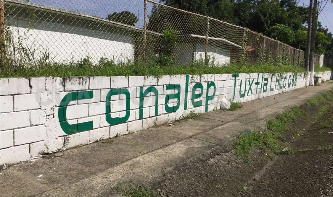 Egresados del Conalep no reciben certificados