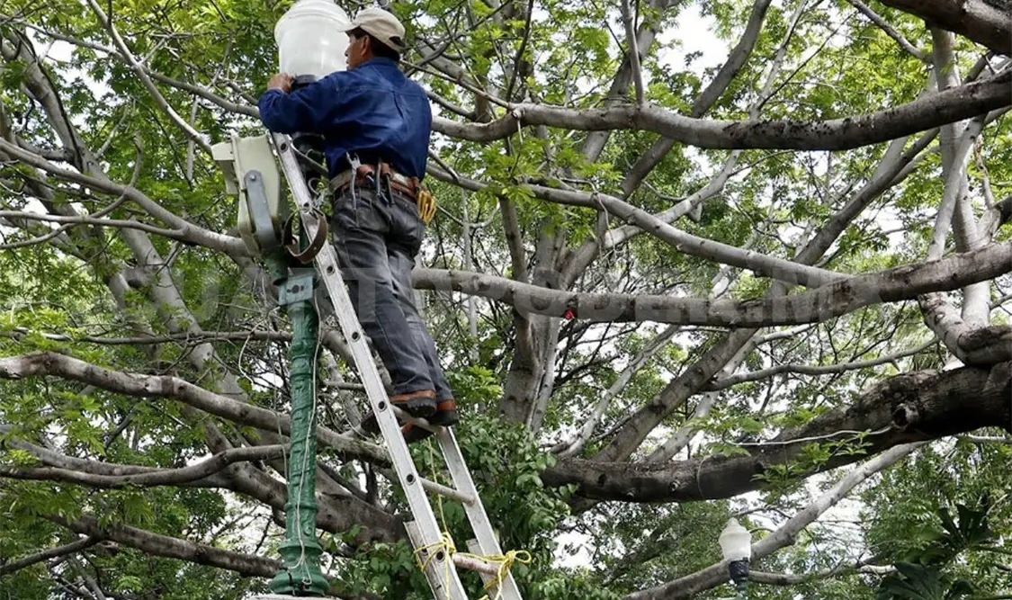 Atienden fallas de alumbrado en el Parque de la Marimba